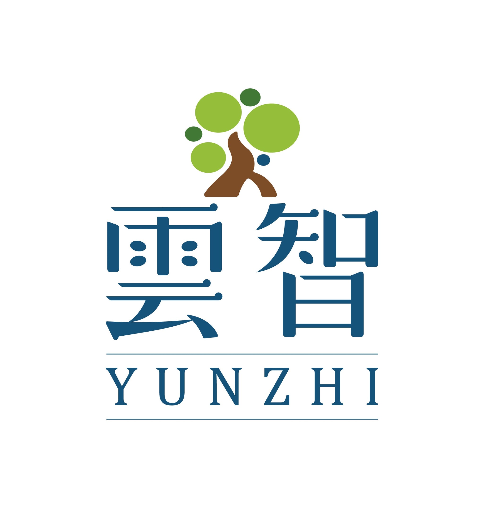 雲智永續策略股份有限公司
