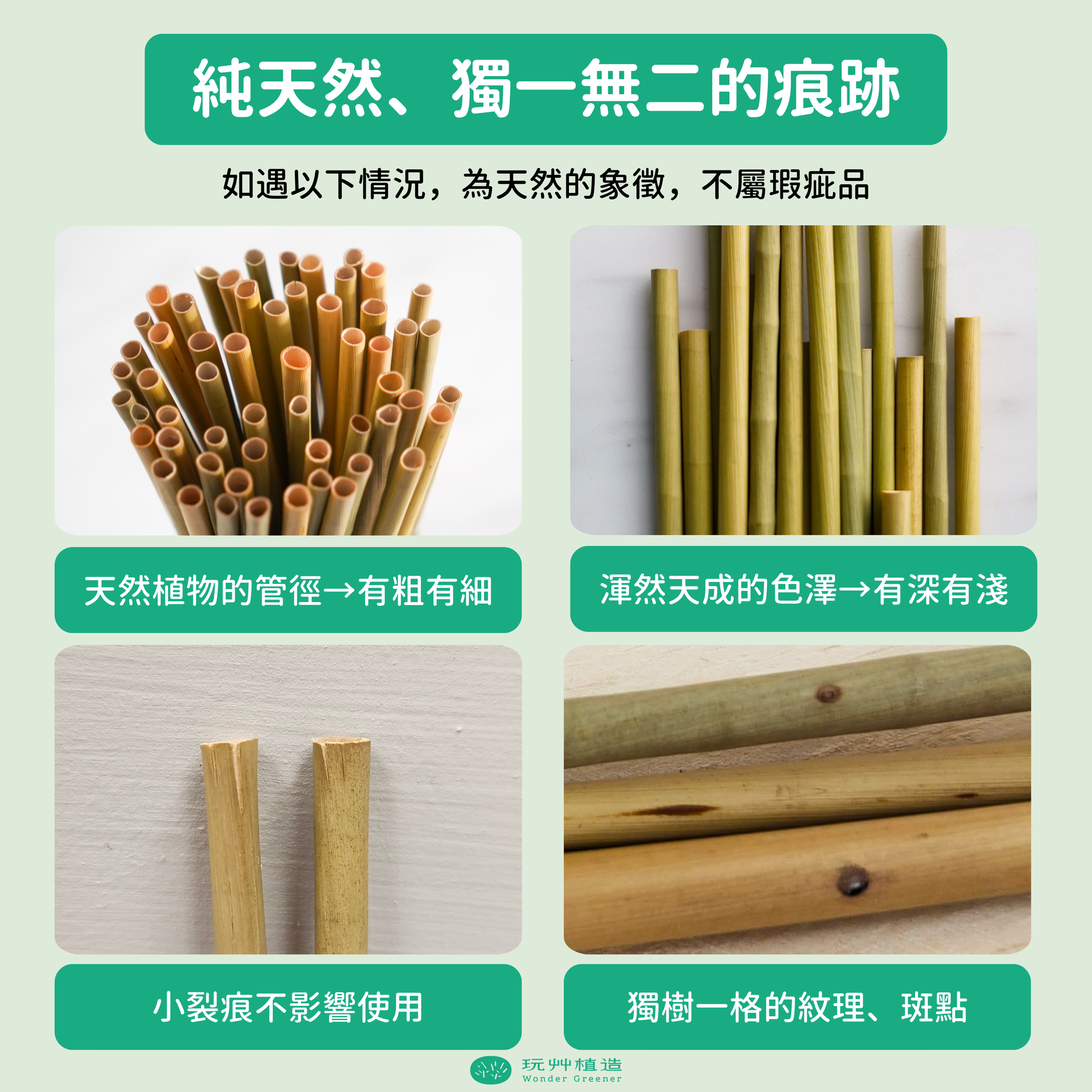 【玩艸植造】蒲草吸管植感禮盒