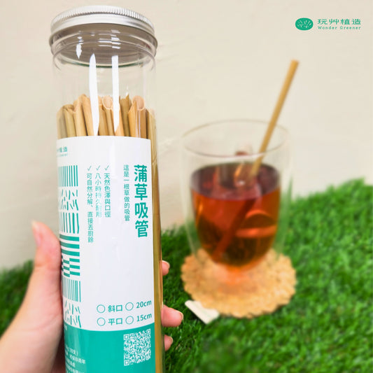 【玩艸植造】罐裝 蒲草吸管 70支